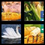 4 Pics 1 Word 3 Letters Answers Cob