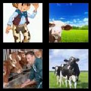4 Pics 1 Word 3 Letters Answers Cow