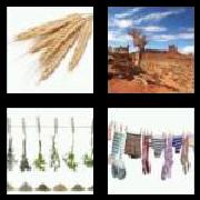 4 Pics 1 Word 3 Letters Answers Dry