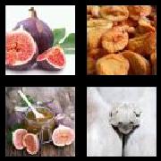 4 Pics 1 Word 3 Letters Answers Fig