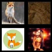 4 Pics 1 Word 3 Letters Answers Fox