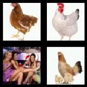 4 Pics 1 Word 3 Letters Answers Hen