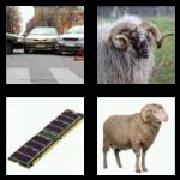 4 Pics 1 Word 3 Letters Answers Ram