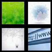 4 Pics 1 Word 3 Letters Answers Web