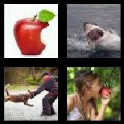 4 Pics 1 Word 4 Letters Answers Bite