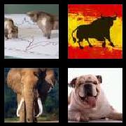 4 Pics 1 Word 4 Letters Answers Bull