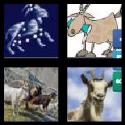 4 Pics 1 Word 4 Letters Answers Goat