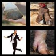 4 Pics 1 Word 4 Letters Answers Hoof