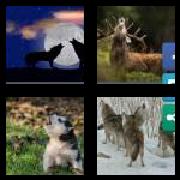4 Pics 1 Word 4 Letters Answers Howl