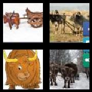 4 Pics 1 Word 4 Letters Answers Oxen