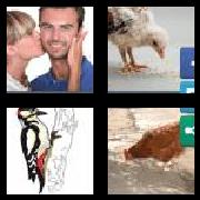 4 Pics 1 Word 4 Letters Answers Peck