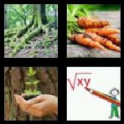 4 Pics 1 Word 4 Letters Answers Root