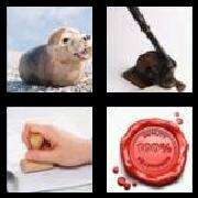 4 Pics 1 Word 4 Letters Answers Seal