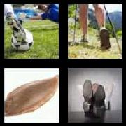 4 Pics 1 Word 4 Letters Answers Sole