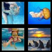 4 Pics 1 Word 4 Letters Answers Swim