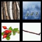 4 Pics 1 Word 4 Letters Answers Twig