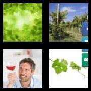 4 Pics 1 Word 4 Letters Answers Vine