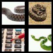 4 Pics 1 Word 5 Letters Answers Adder