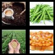4 Pics 1 Word 5 Letters Answers Beans