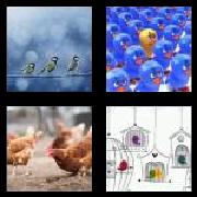 4 Pics 1 Word 5 Letters Answers Birds