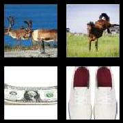 4 Pics 1 Word 5 Letters Answers Bucks