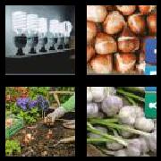 4 Pics 1 Word 5 Letters Answers Bulbs