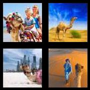 4 Pics 1 Word 5 Letters Answers Camel