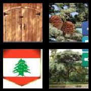 4 Pics 1 Word 5 Letters Answers Cedar