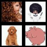 4 Pics 1 Word 5 Letters Answers Curly