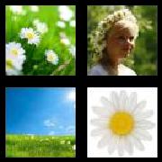4 Pics 1 Word 5 Letters Answers Daisy