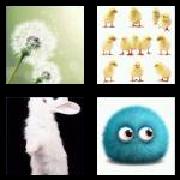 4 Pics 1 Word 5 Letters Answers Fluff