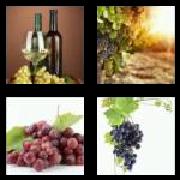 4 Pics 1 Word 5 Letters Answers Grape