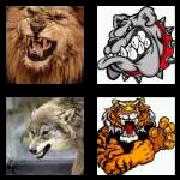 4 Pics 1 Word 5 Letters Answers Growl