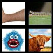 4 Pics 1 Word 5 Letters Answers Hairy