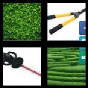 4 Pics 1 Word 5 Letters Answers Hedge
