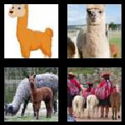 4 Pics 1 Word 5 Letters Answers Llama