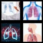 4 Pics 1 Word 5 Letters Answers Lungs