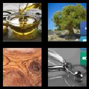 4 Pics 1 Word 5 Letters Answers Olive