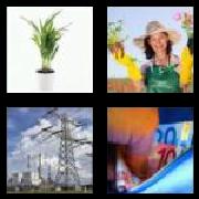 4 Pics 1 Word 5 Letters Answers Plant
