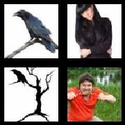 4 Pics 1 Word 5 Letters Answers Raven