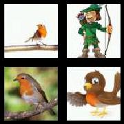 4 Pics 1 Word 5 Letters Answers Robin