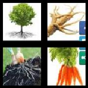 4 Pics 1 Word 5 Letters Answers Roots