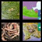 4 Pics 1 Word 5 Letters Answers Slimy