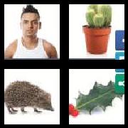 4 Pics 1 Word 5 Letters Answers Spiky