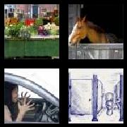 4 Pics 1 Word 5 Letters Answers Stall