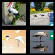 4 Pics 1 Word 5 Letters Answers Stork