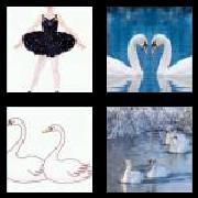 4 Pics 1 Word 5 Letters Answers Swans