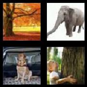 4 Pics 1 Word 5 Letters Answers Trunk