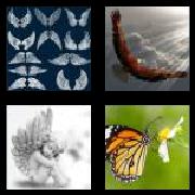 4 Pics 1 Word 5 Letters Answers Wings