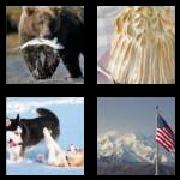 4 Pics 1 Word 6 Letters Answers Alaska